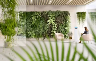 Plant Decor Rental, indoor plant installations