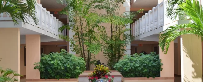 Professional Plant Care