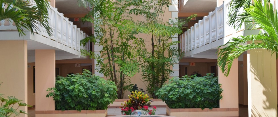 Professional Plant Care