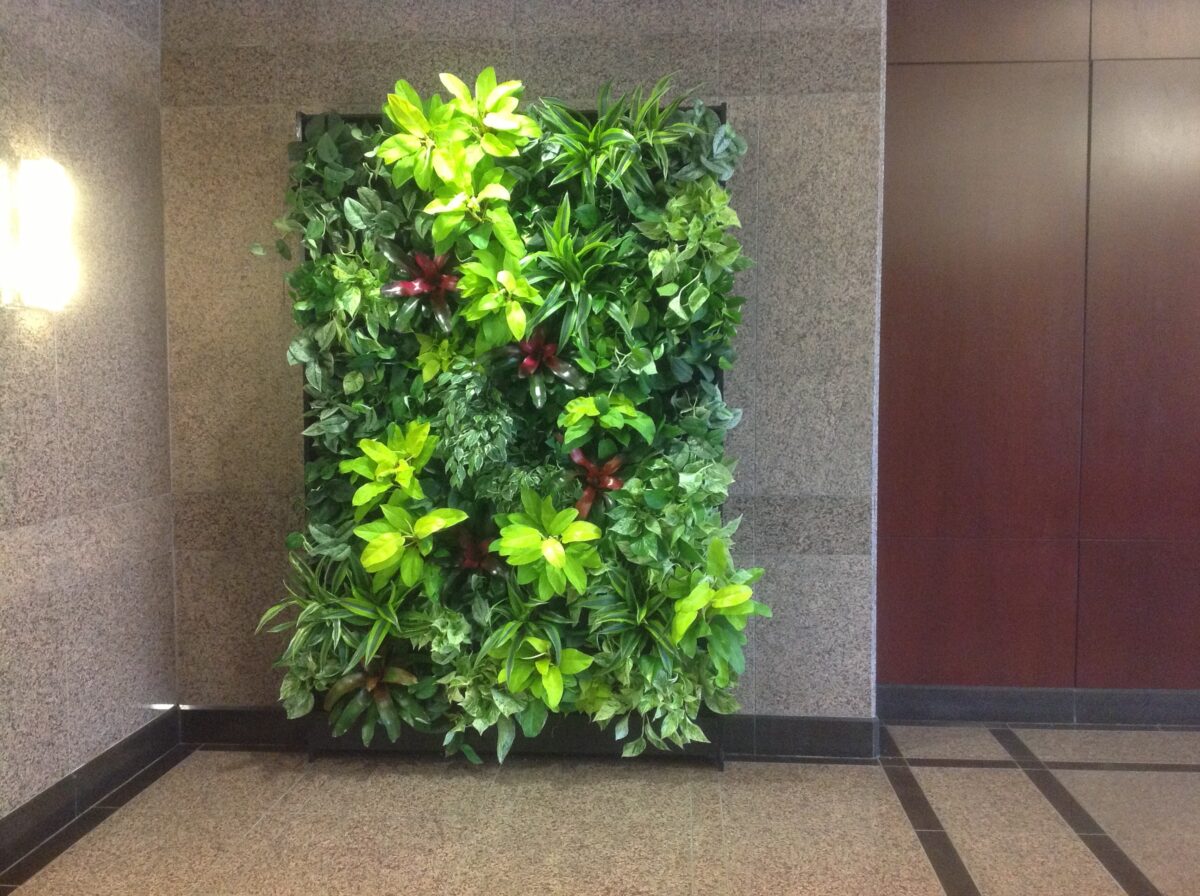 Fresh Look at Expert Living Green Walls Design Installation Maintenance Sarasota