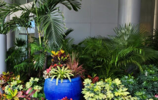 plant leasing services Sarasota