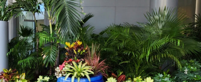 plant leasing services Sarasota