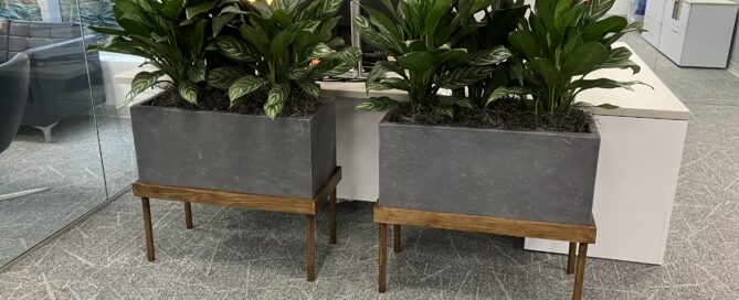 plant leasing services