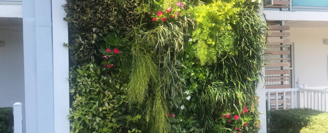 living walls and the heat island effect