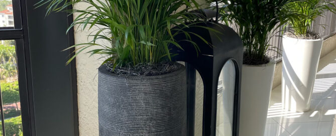 plant leasing services