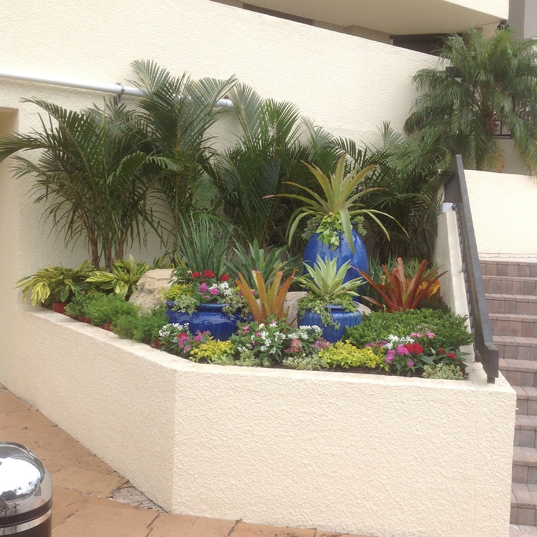 plant leasing services