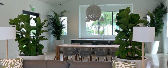 plant leasing services for homeowners