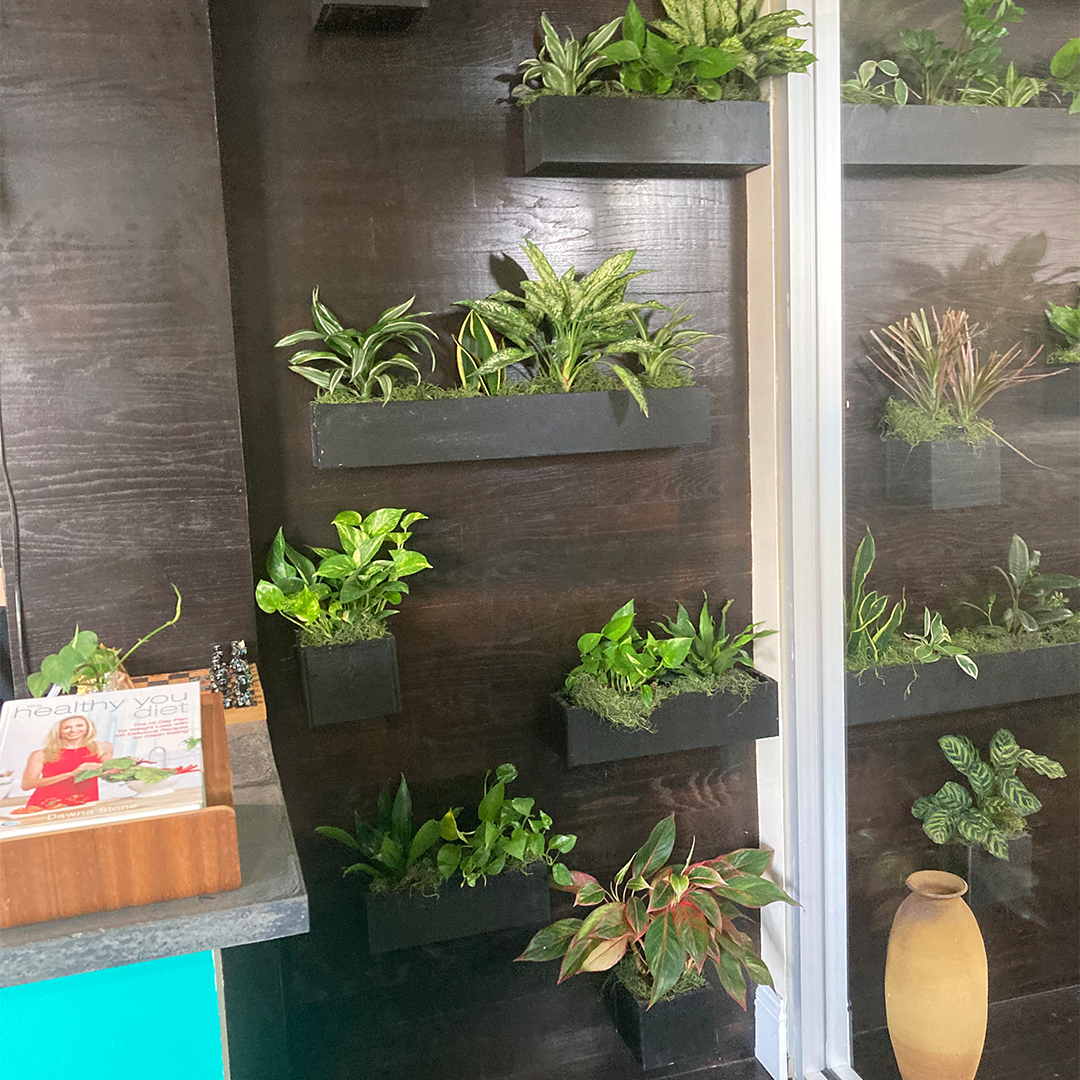 office plant leasing