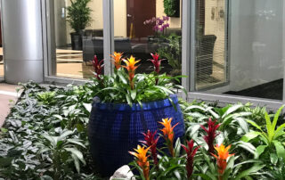 office plant leasing