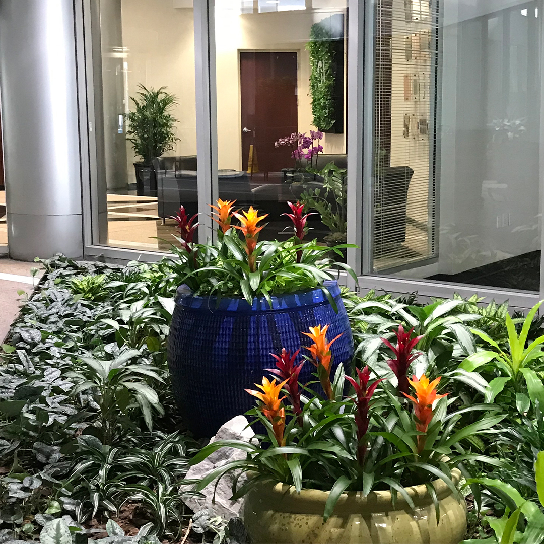 office plant leasing