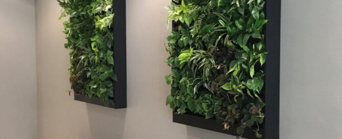 office plant leasing