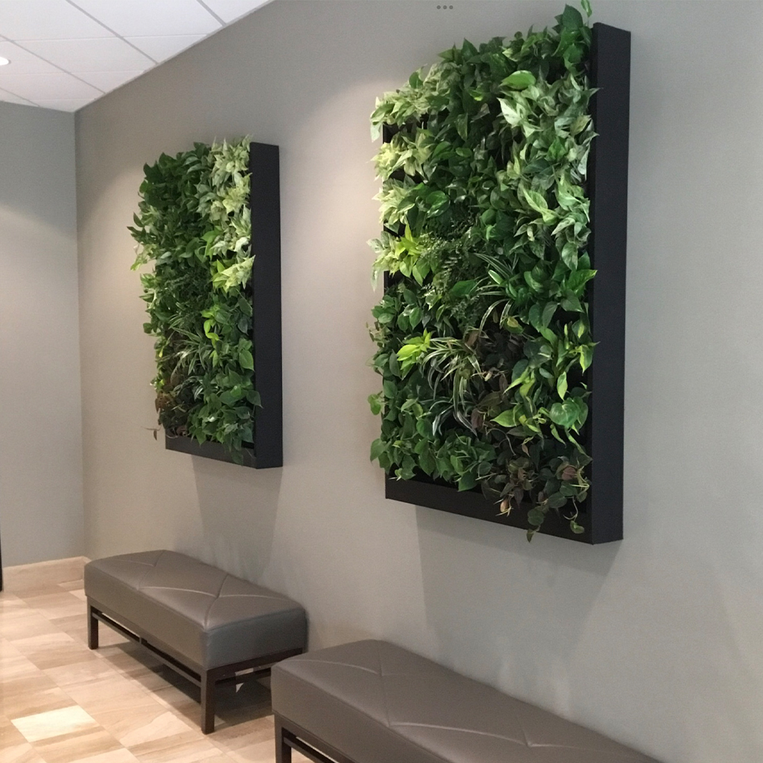 office plant leasing