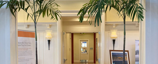 workplace plant leasing