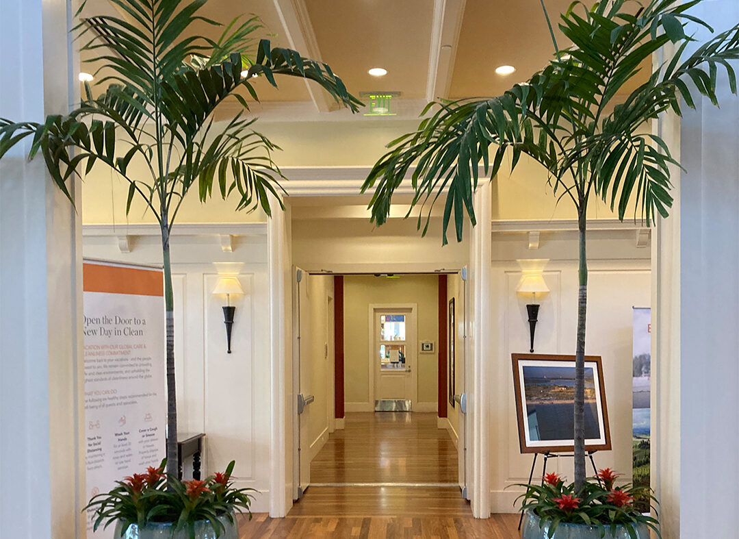 workplace plant leasing