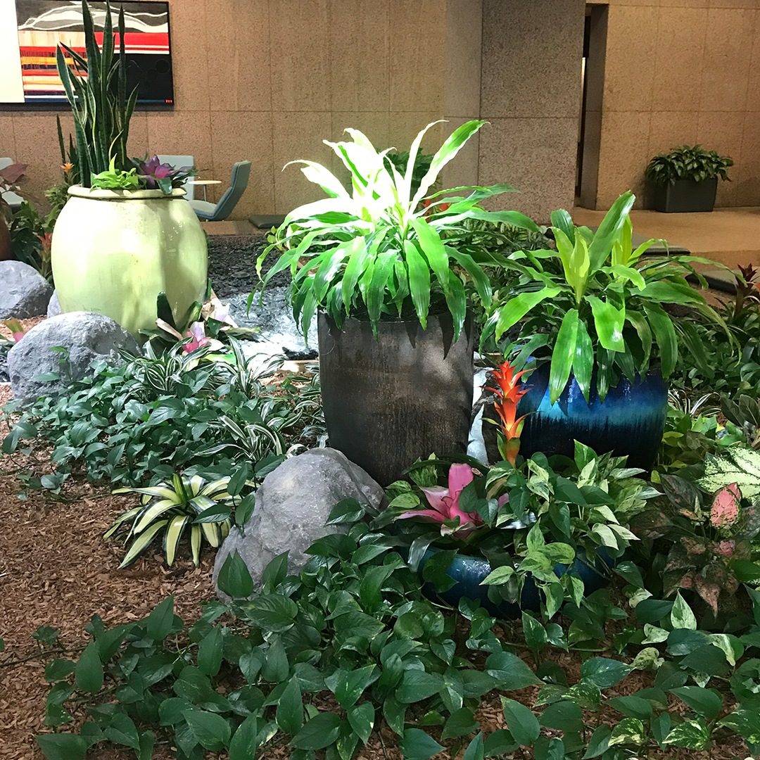 office plant leasing