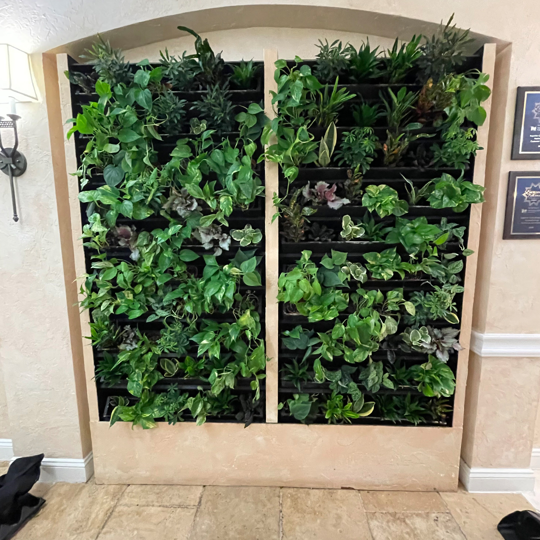 office plant leasing