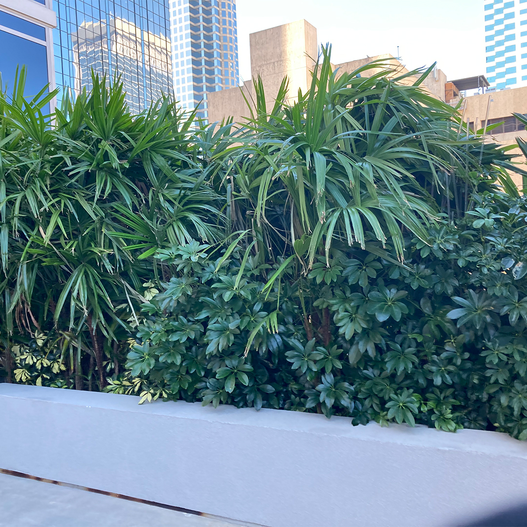 retail plant leasing