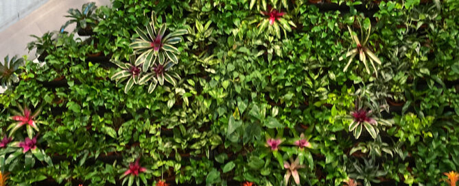 retail plant leasing