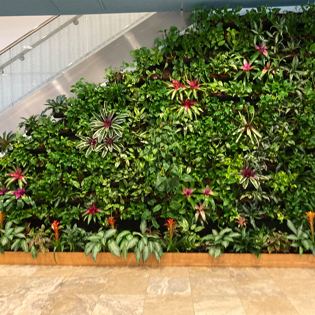 retail plant leasing