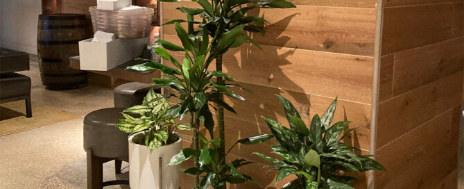 retail plant leasing