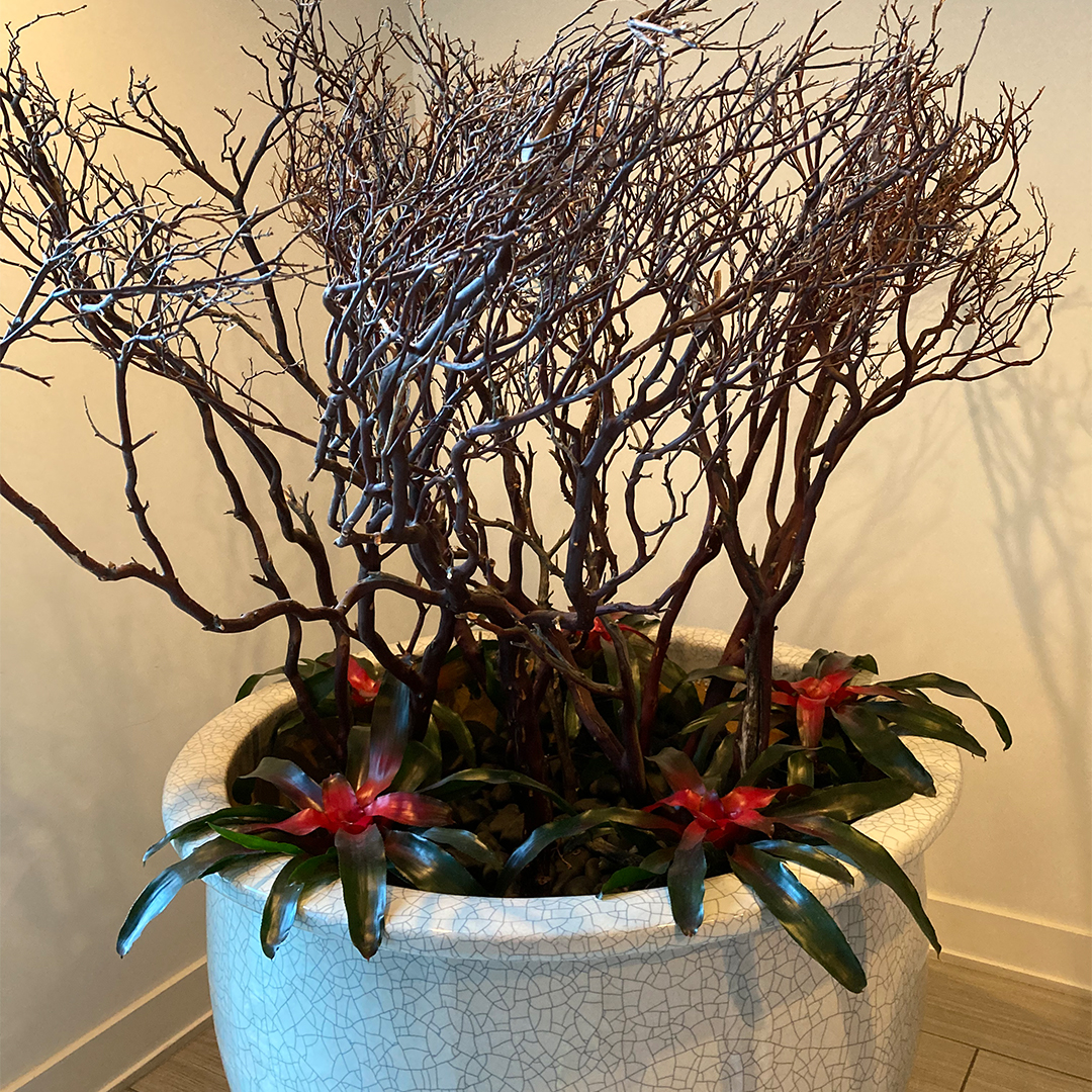 retail plant leasing