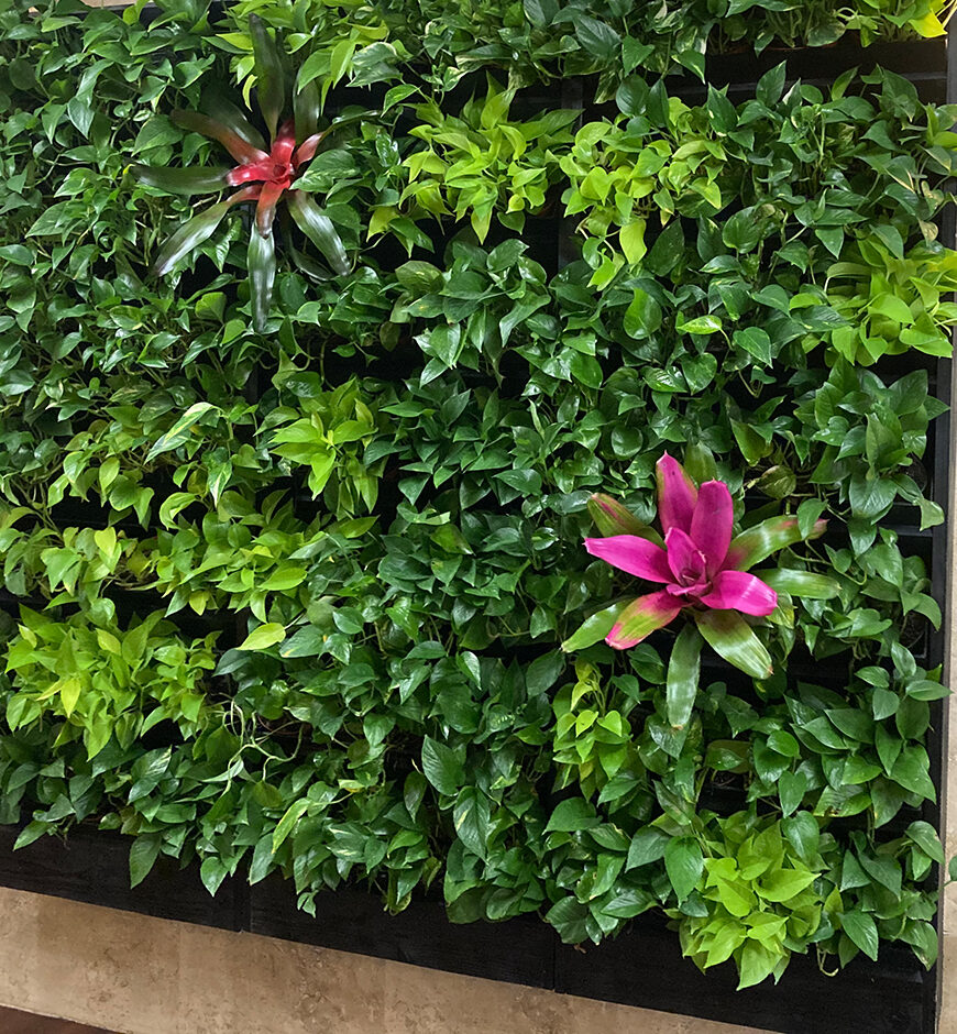 retail plant leasing