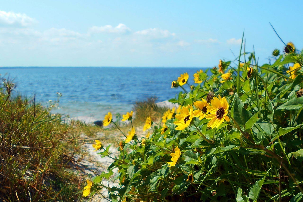 Sarasota native plant leasing