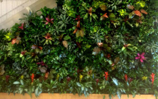 plant leasing sarasota