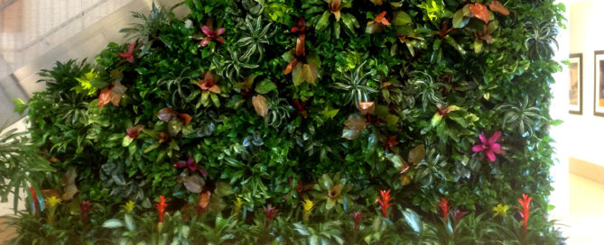 plant leasing sarasota