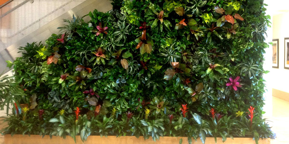 living walls installed near me