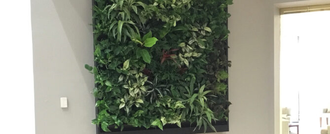 living walls near me