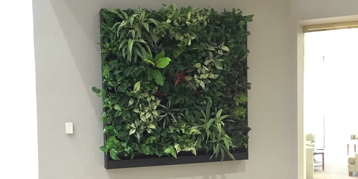 living walls near me