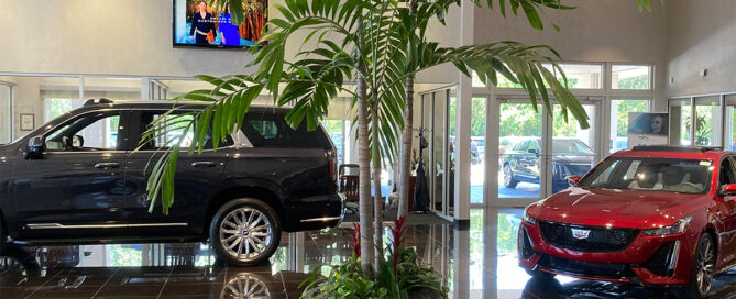 leased plants in business setting, Sarasota plant rental