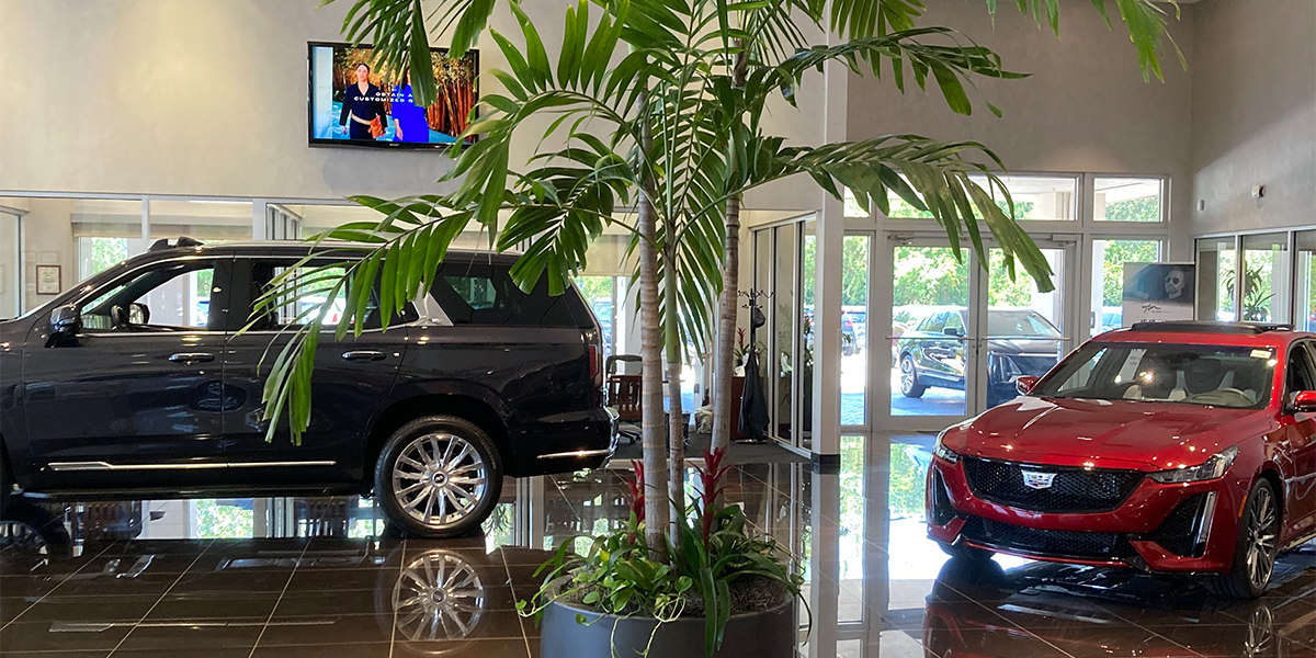 leased plants in business setting, Sarasota plant rental