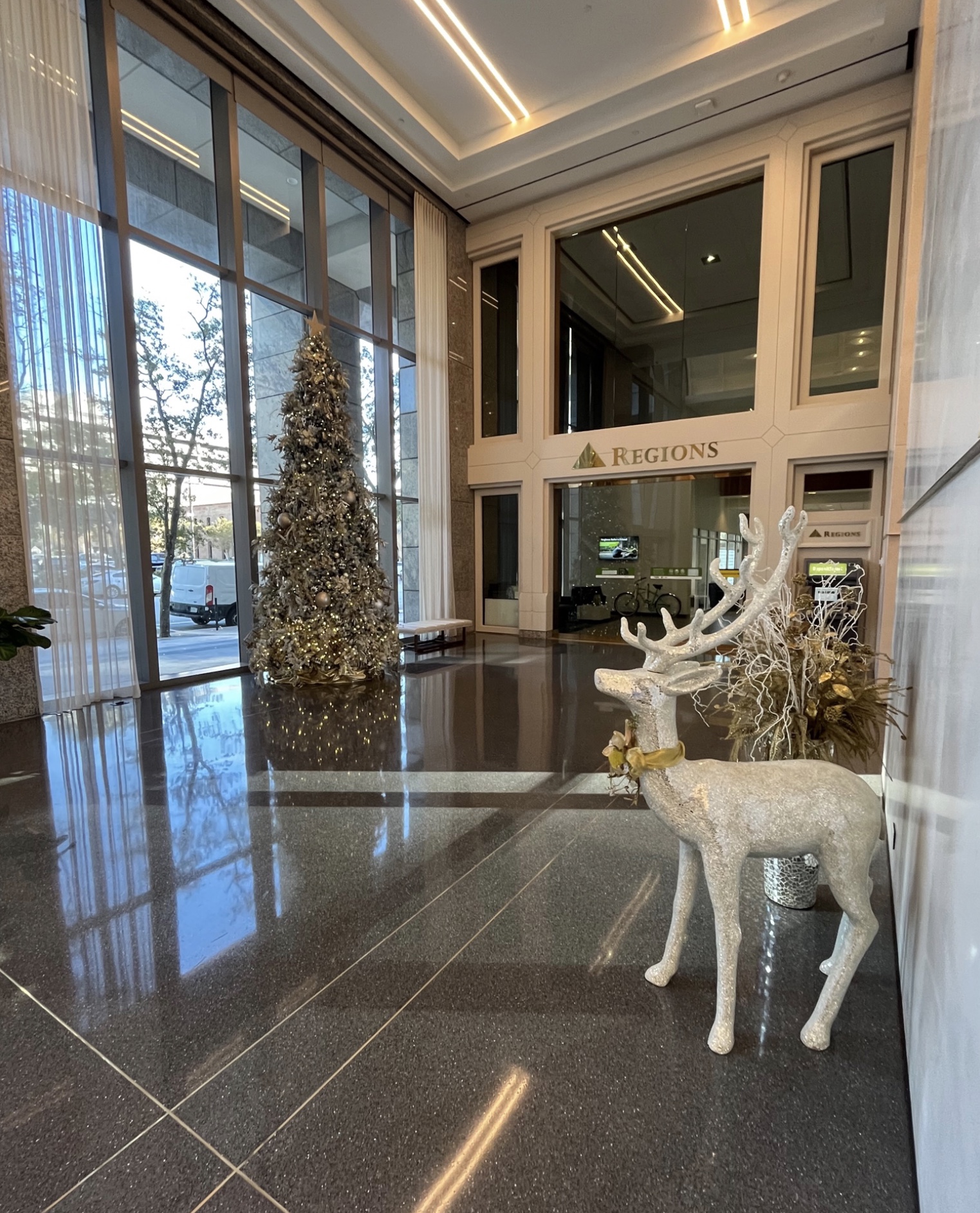 plant leasing sarasota