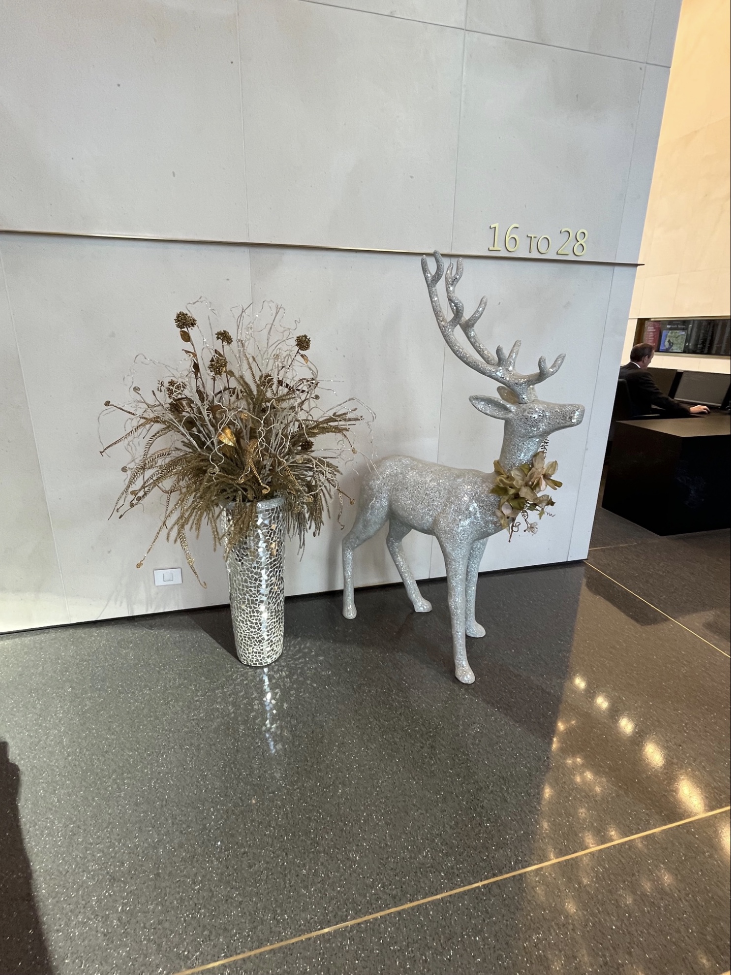 plant leasing sarasota