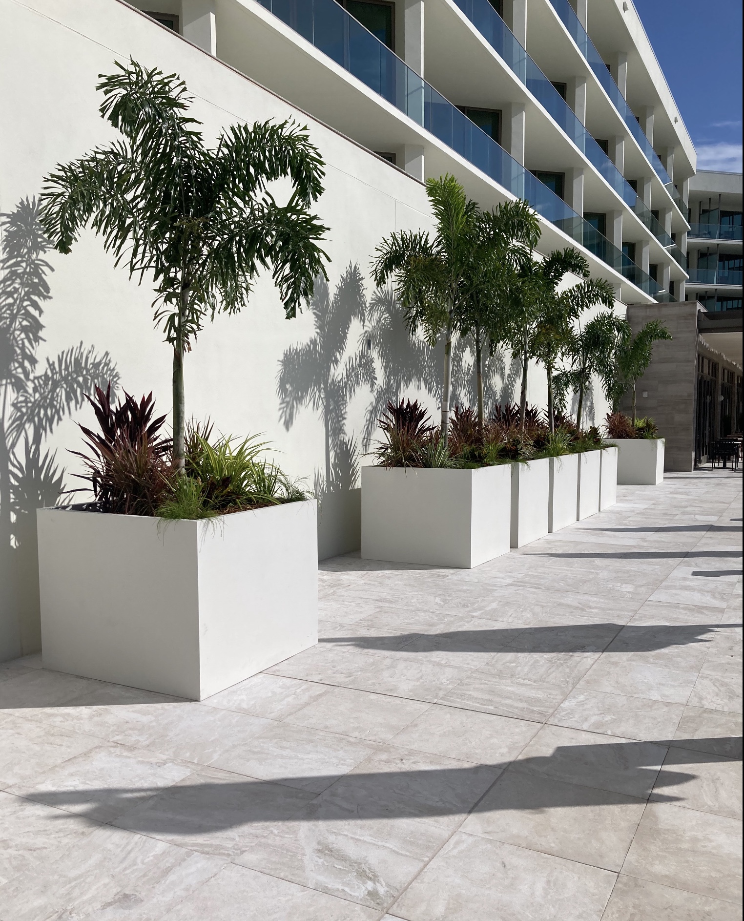 plant leasing basics