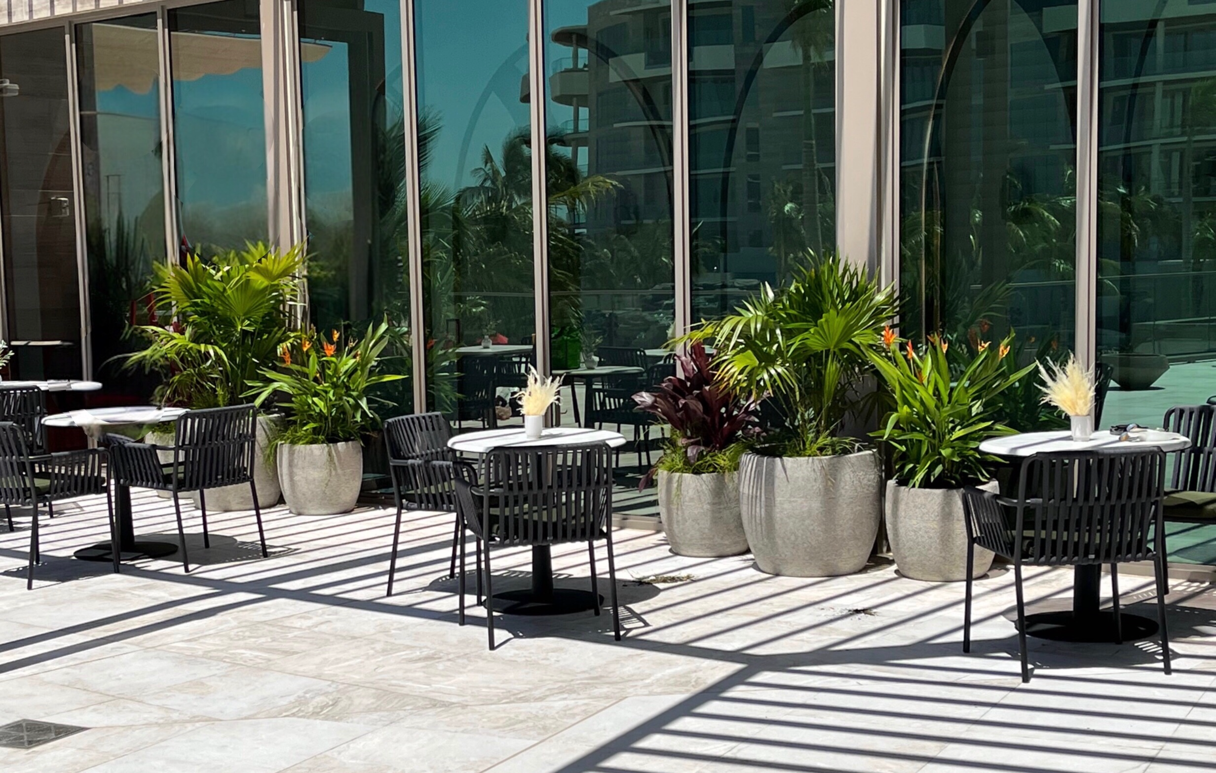 plant leasing in Florida