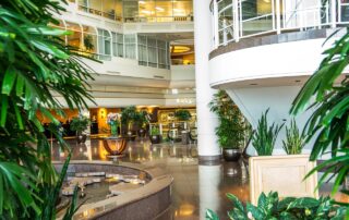 plant leasing for upscale properties