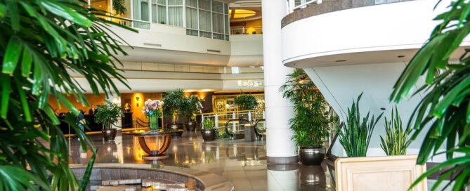 plant leasing for upscale properties