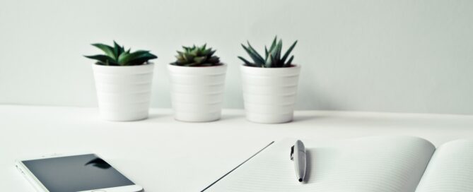 green plants for your Sarasota office
