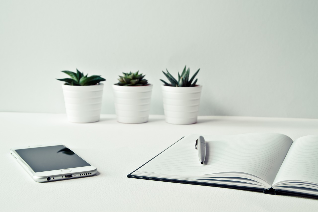 green plants for your Sarasota office