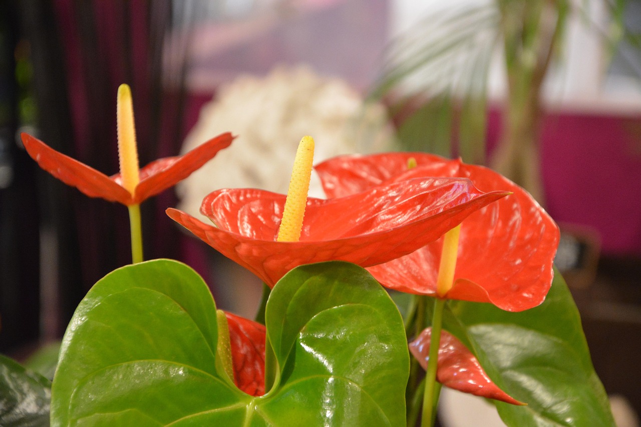 corporate event decor 