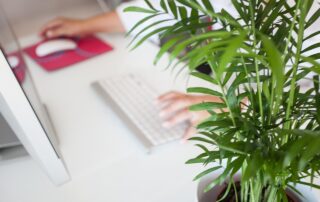 plants leasing services in Sarasota