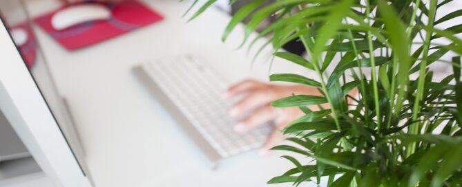plants leasing services in Sarasota