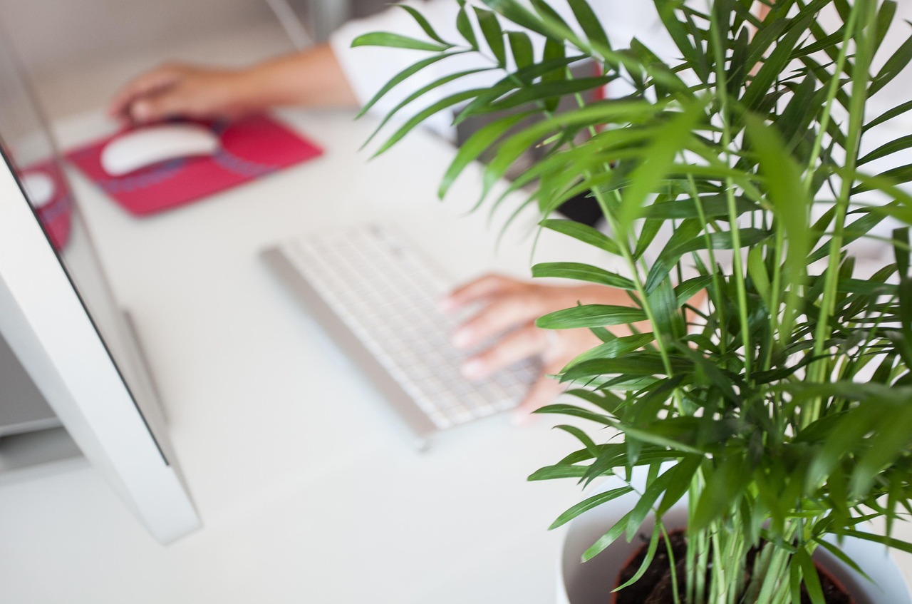 plants leasing services in Sarasota