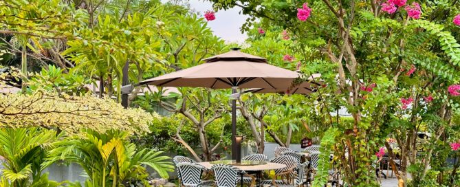 plant leasing Sarasota