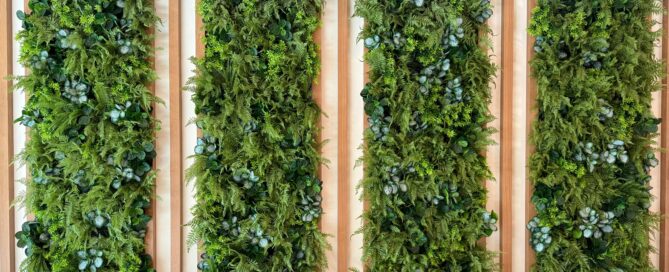 plant wall lakewood ranch