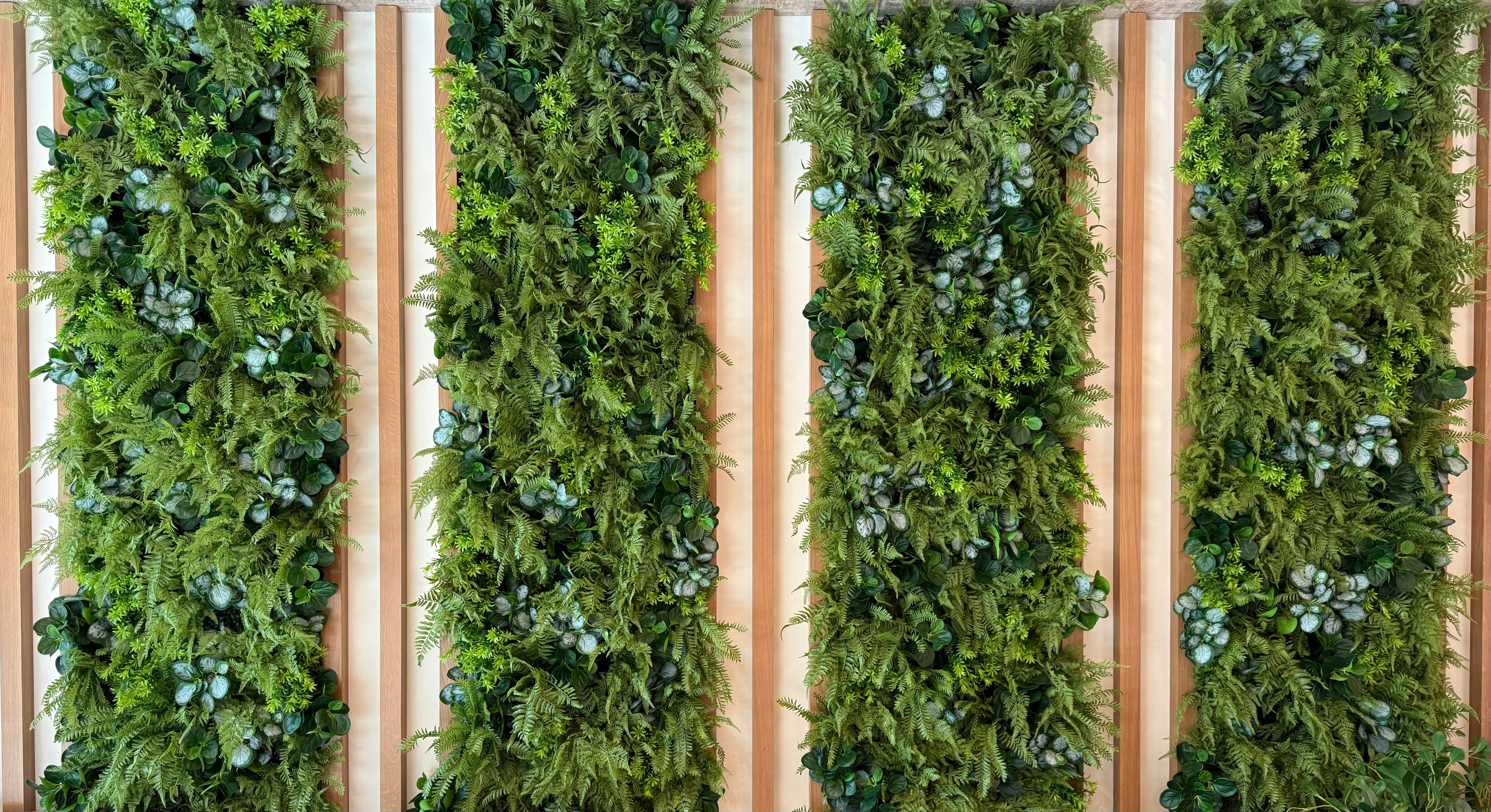 plant wall lakewood ranch