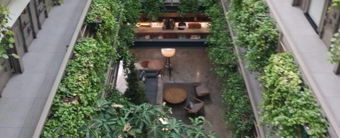 plant leasing for atriums